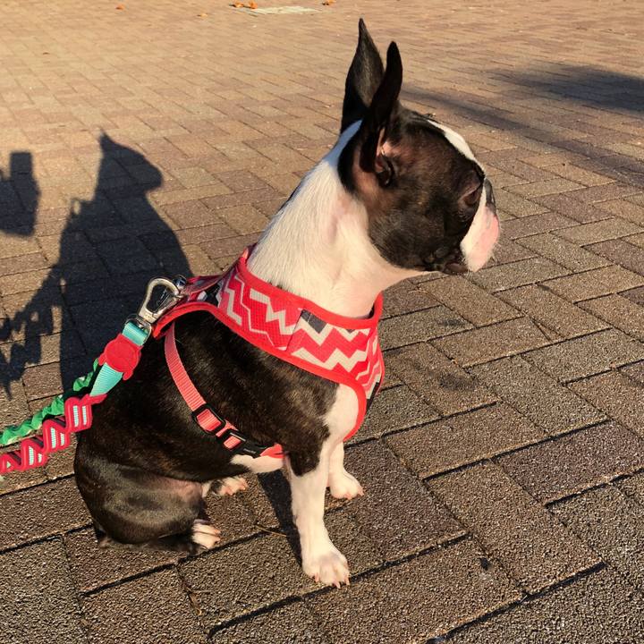 9eac8dd2 c6d4 40c0 adc9 04b163050e5e 1542584062984