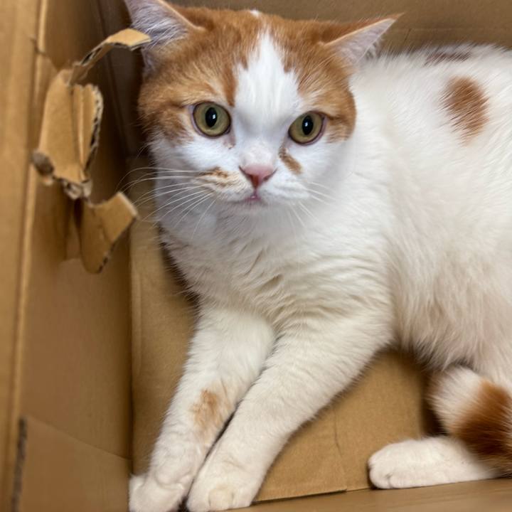 9eac970a 9520 4327 bf11 2e7d5c8b9ed7 1775705542010