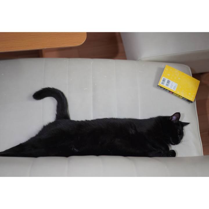 9eacbac1 4f0d 430b bba3 7af18d0c11f6 1626958259780