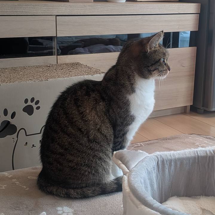 9eacff5d e047 4b6c a0b4 3a1ff34c434b 1766124148171