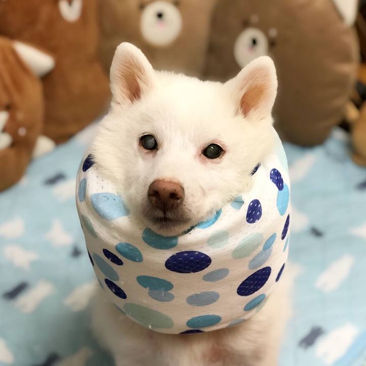 9ead2619 00db 4f6f af3b 0442df38ce3d 1628404790371