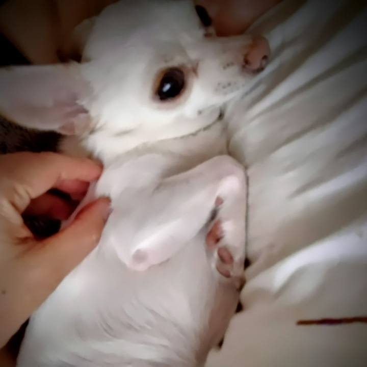 9ead4458 a059 4602 a895 dc8098f086ec 1748036447318