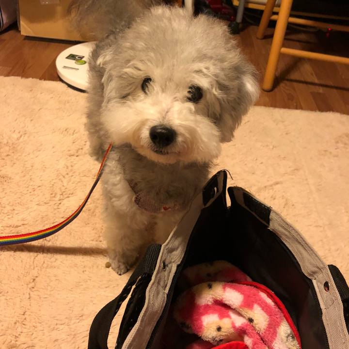 9ead7848 d8e5 4b92 bfcd 6c4a57924da6 1540941616439