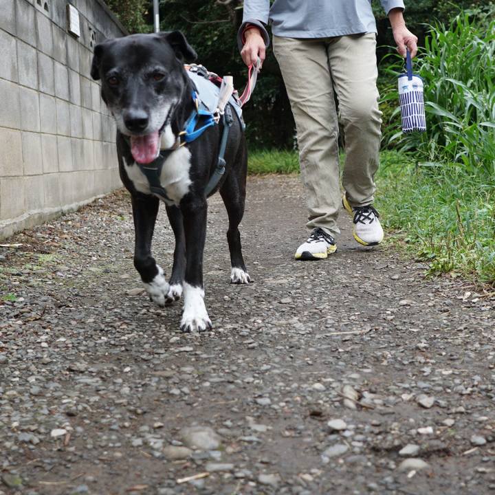 9eada956 48eb 480c 9e4a 1748a93f9cb9 1760315692933