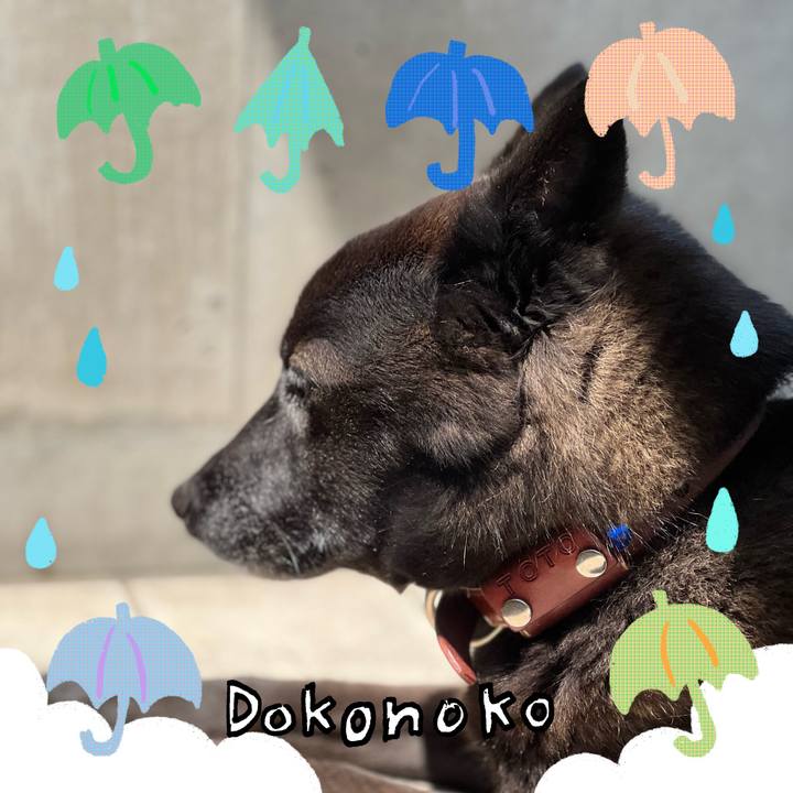 9eadade3 7be6 47b4 9803 35c9c7f3a943 1718429644805