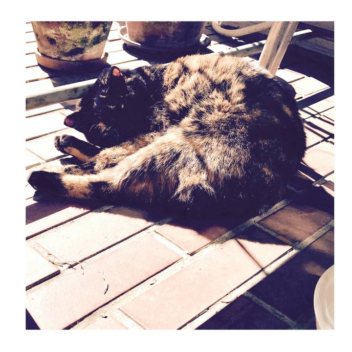 9eadd313 ee84 420c a393 1ce43495125d 1573879398311