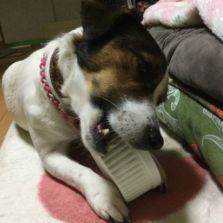 9eade73e 6032 4d55 a172 5cf970513538 1514284786777