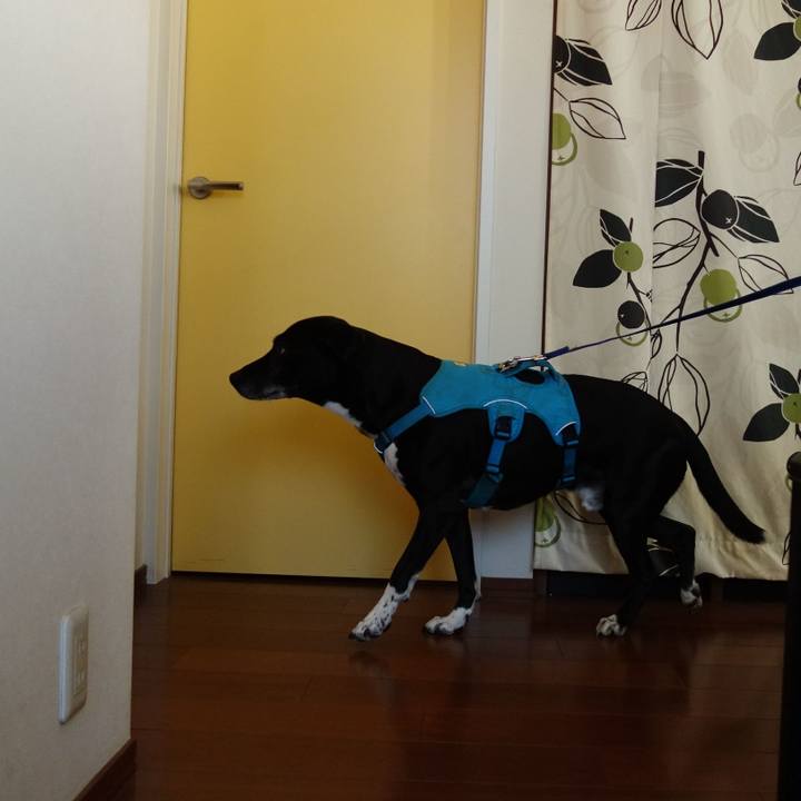 9eadfddd a54b 499a a546 7560ca4a7ca7 1714043560997