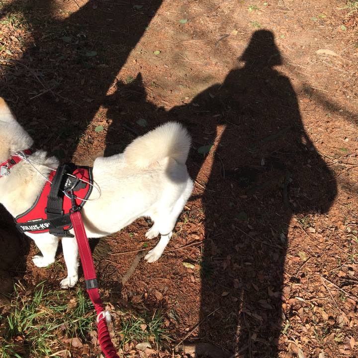 9eae0211 3190 41c8 85d6 88420bec5b76 1549276291369