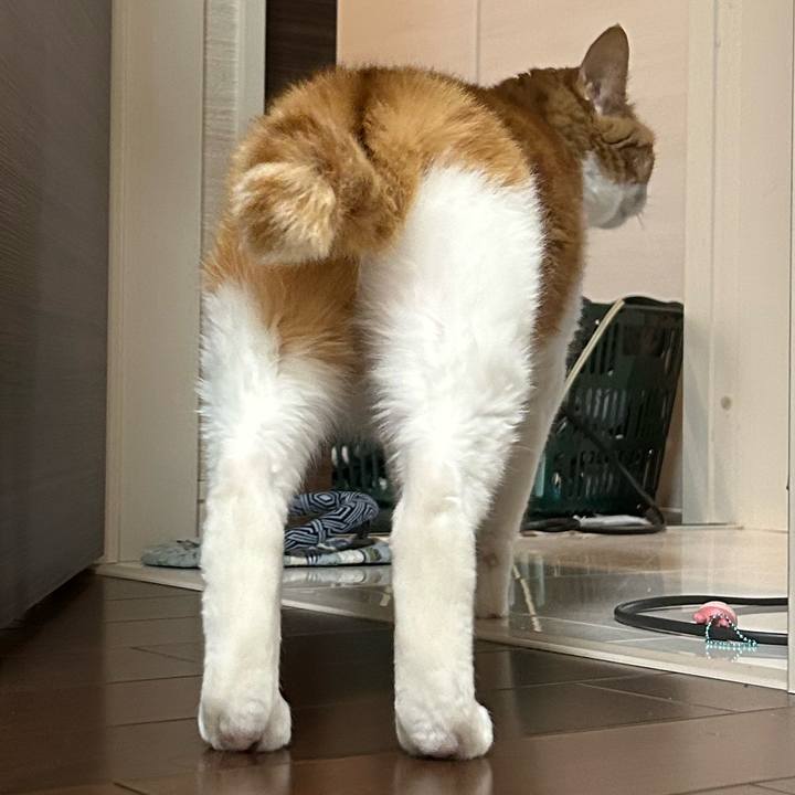 9eae0e6f 237d 4708 8198 d842d758ae93 1772338874346