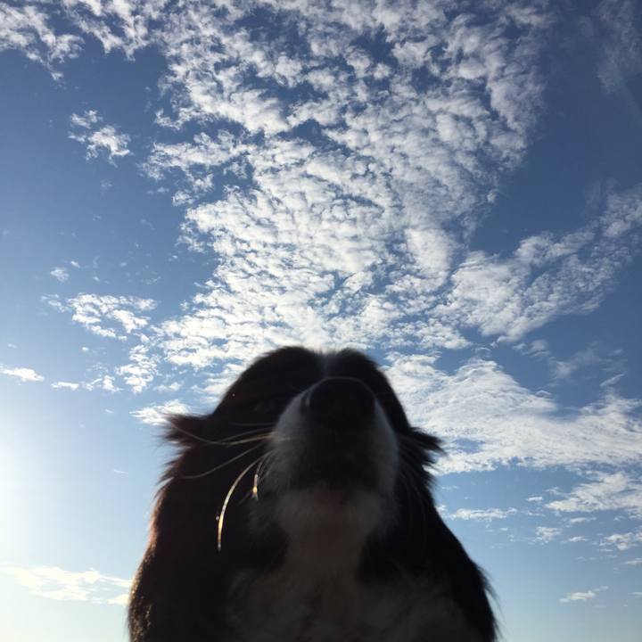 9eae1797 e21d 4fa1 89a6 3e792b8f5d53 1541285663608