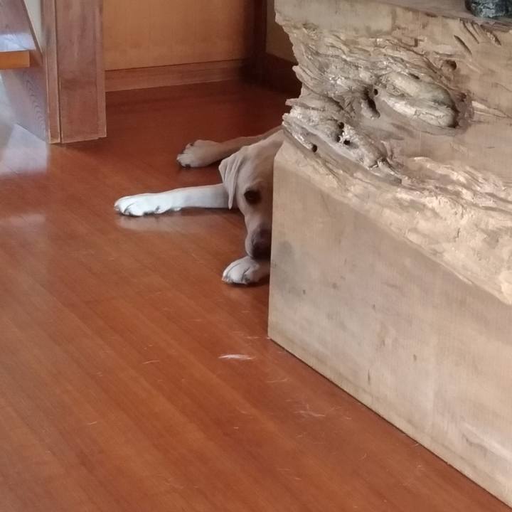 9eae546d 4c23 407f 98ca fc0058f120c4 1541850565040