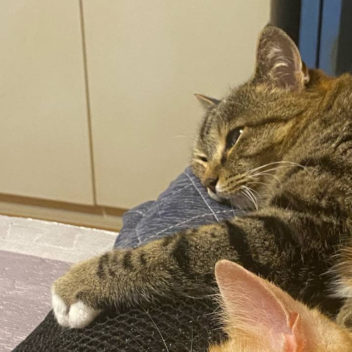 9eae761f 33e5 4f1c bd32 0f9ea0e5ab84 1621254306132