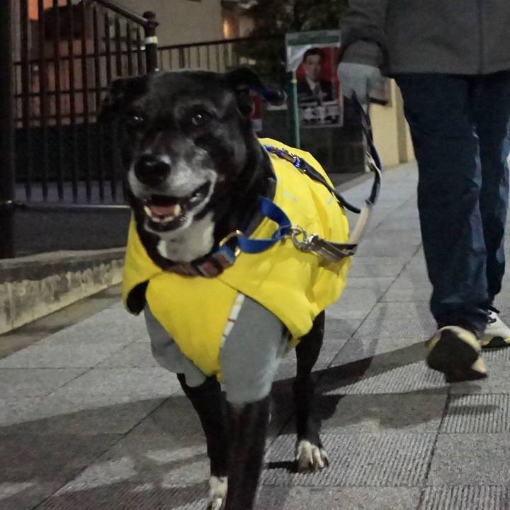 9eae9cc9 93e9 4128 9238 68fbb29af270 1767179750885