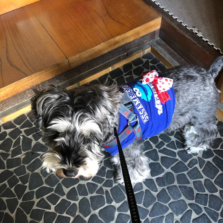 9eaeb77f 8d17 488c 89e2 f786c1567eb5 1636858573295