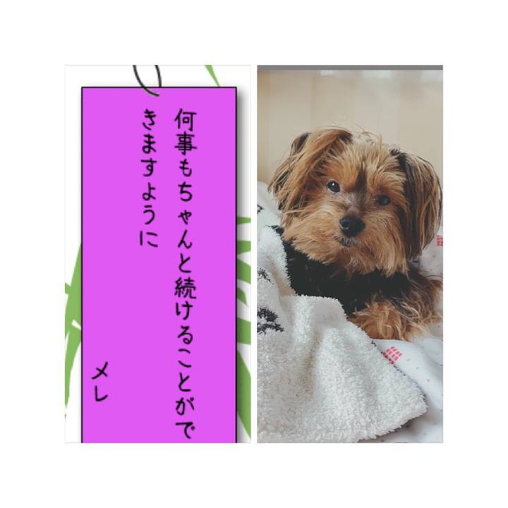 9eaed211 8636 482a 8a43 a176f66237cb 1562480407686