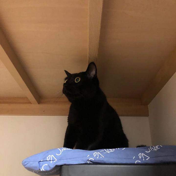 9eaee3a7 95d6 41a1 b93c a8faefe19dff 1575119411012