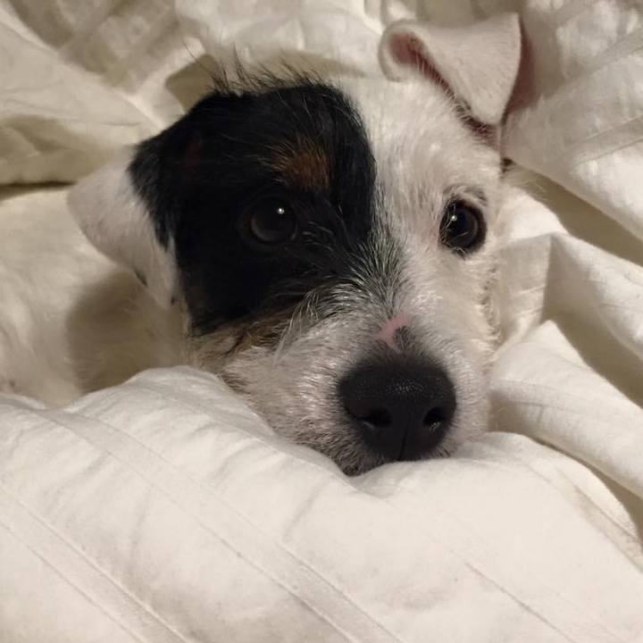 9eaef642 723d 434f 8d1d 16129576baa9 1586745123444