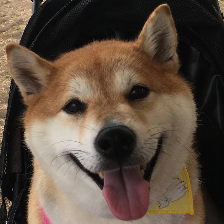 9eaf0441 fec9 410e a721 cb927fb0f9dd 1567335252394