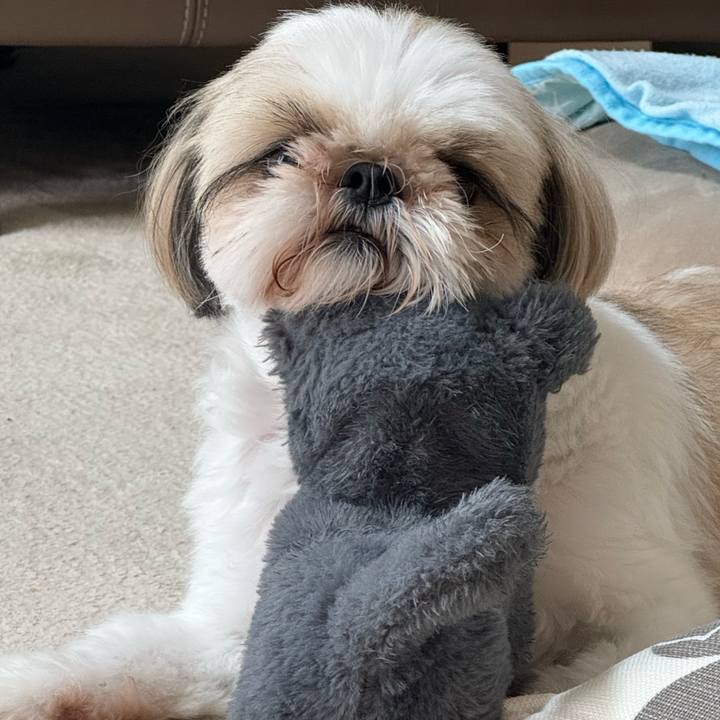 9eaf0729 ada7 4953 bd80 63afdfb13add 1718715101014