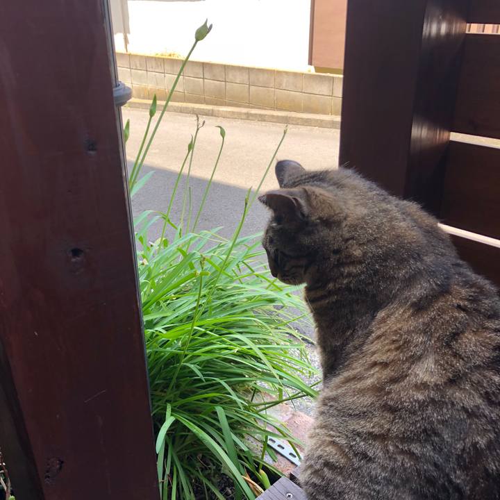 9eaf3788 d72a 49f3 8811 36528d7dc2f1 1528269321011