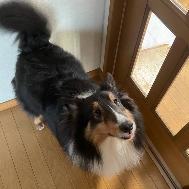 9eaf625a 7383 4f58 8a32 2010b592cd80 1613081254409