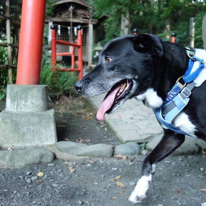 9eafb923 cb75 4bd1 9df2 74847ea60be1 1723680447864