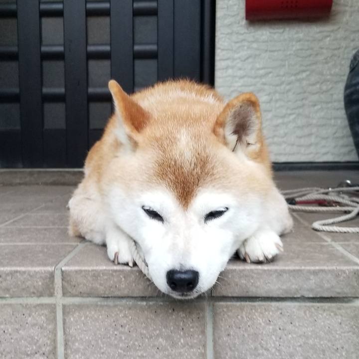 9eafc2dc 07fd 4465 9902 ab3f2cddbf84 1662109231557