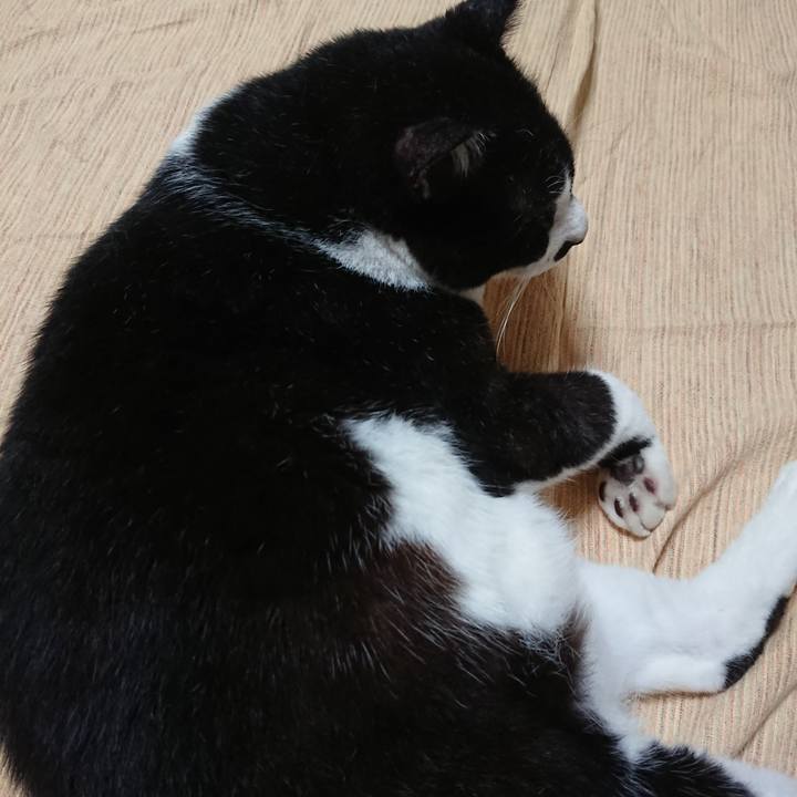 9eafd239 1b6f 419c aa03 e3eed169ab92 1594726153200