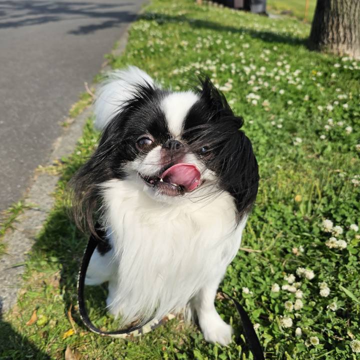 9eb00273 b6c4 46bc b44b 471c08b6d0f5 1682930312195