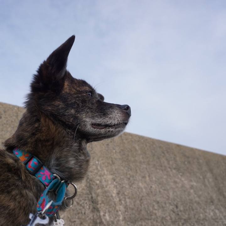 9eb013f5 870e 4498 ae58 3a9aefa55ff5 1561982187831