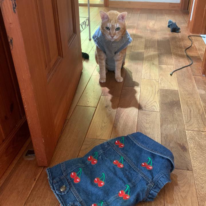 9eb01d60 15fd 4c7e 92fb ac213d01188f 1662881083029