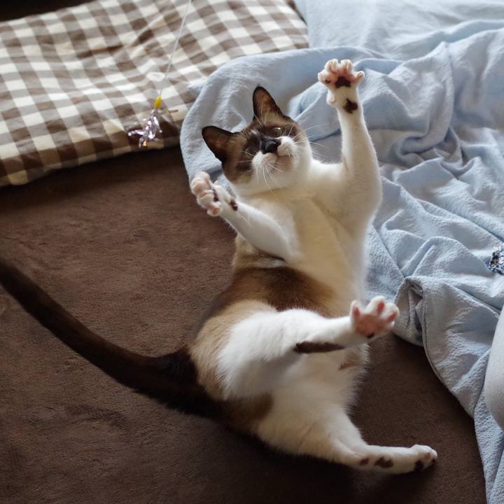 9eb074b2 a44e 49eb 8fc2 13af6a65e0a8 1528083388816