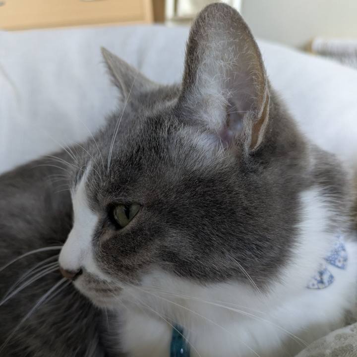 9eb08b19 f697 4510 a40b 4fdacc14528a 1765585563938