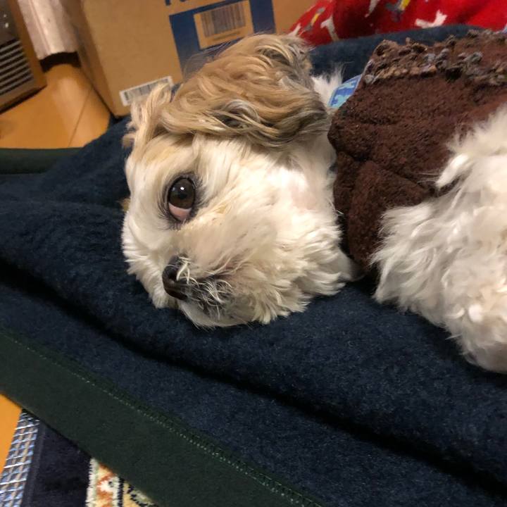 9eb0c65c 83d0 4ff8 a355 dfc960fd08bc 1576705296441