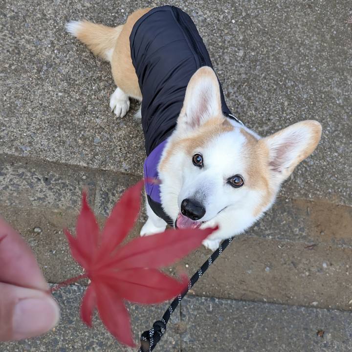 9eb0cbdb 298b 4913 8ebb e56f1e7eca8d 1764643980211