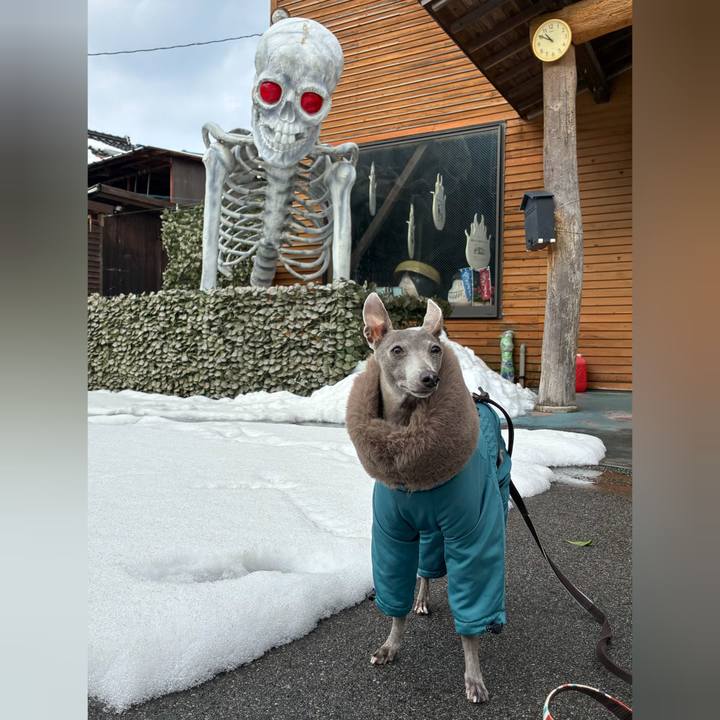 9eb0dcd2 0933 4cf4 b3c0 43a0baec8795 1771589540217