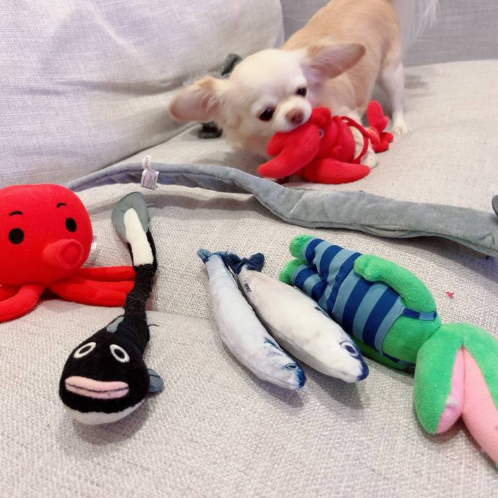 9eb0f5e9 9df0 431b a1b0 d70567330ba3 1699361437349