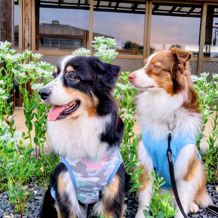 9eb12a79 7829 42b8 abc9 a90f8ba14a31 1756897876570