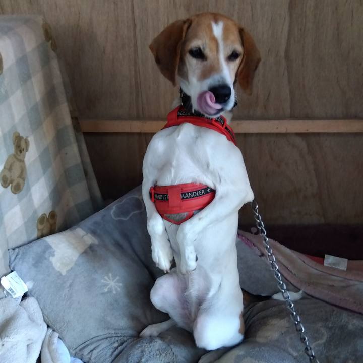 9eb12d3b 016f 4e77 bf4c 435105262d42 1708253624453