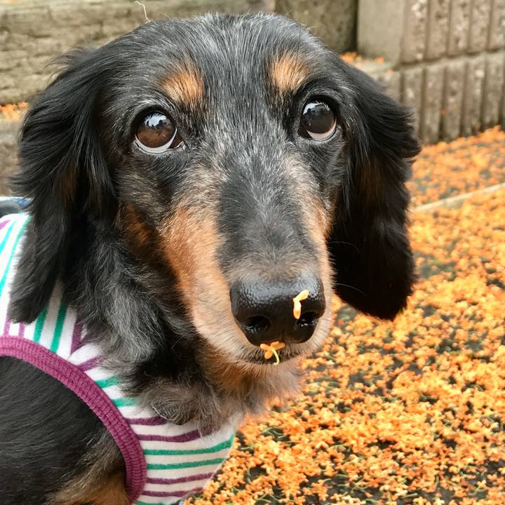 9eb13000 745c 4e64 9826 17ea1aa9c52b 1763991160628