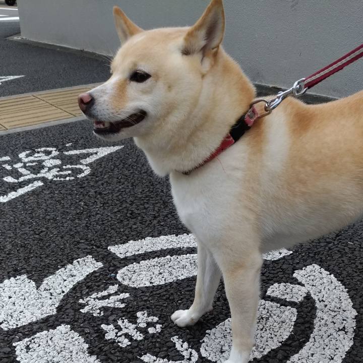 9eb13014 ca5d 41ae a949 6bc1e4b94bff 1601332049947