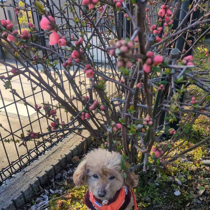 9eb13306 c82a 4483 8de5 8c6b739690af 1773185959292