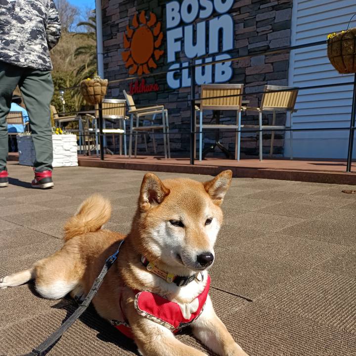 9eb142f8 c986 44e3 b791 e6c12f9811bc 1740282764218