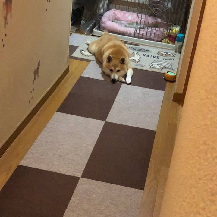 9eb14a3b 69c4 48e1 8e3f 993b18006ce2 1593756472402