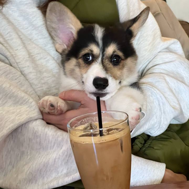 9eb18122 5a4c 4a8b b720 7f12eb087703 1769343075484