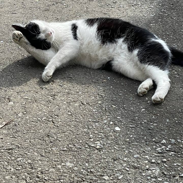 9eb18620 424a 480f 8883 336035857f39 1637202232362