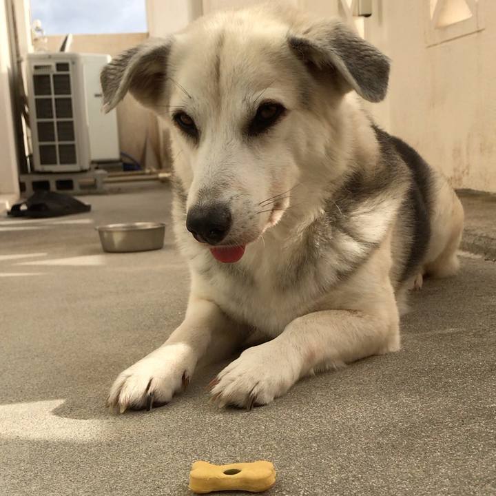 9eb1a2e8 3100 441b bb65 50bffc0faaa4 1579740056868