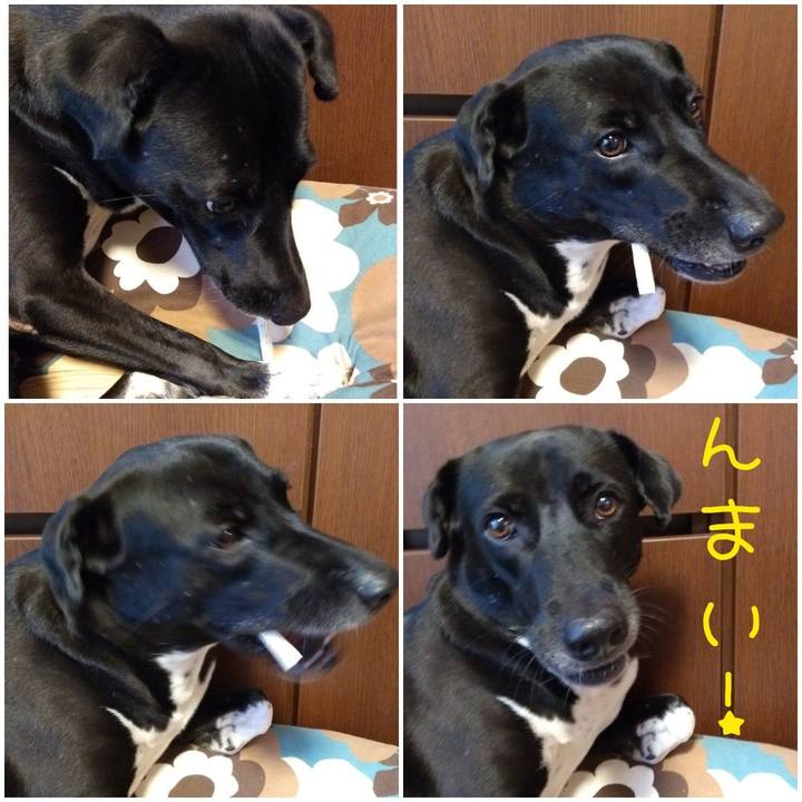 9eb1dd86 96ba 4059 a468 a507e1eb45de 1600252583141