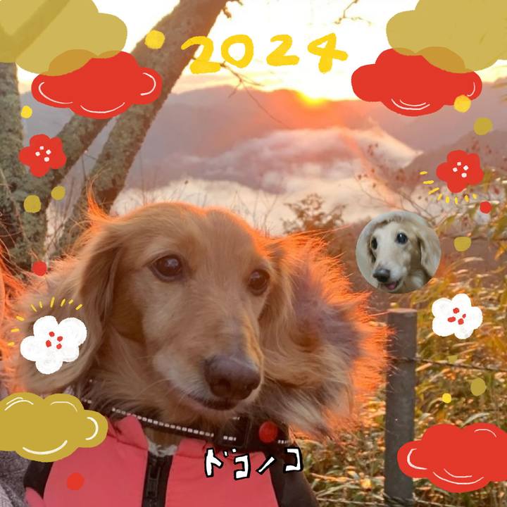 9eb21212 f4be 4752 96b7 31d803a34e48 1704448655592